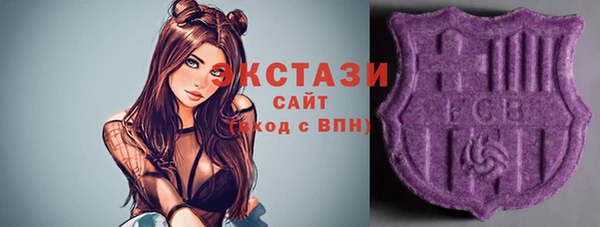 гашик Бородино